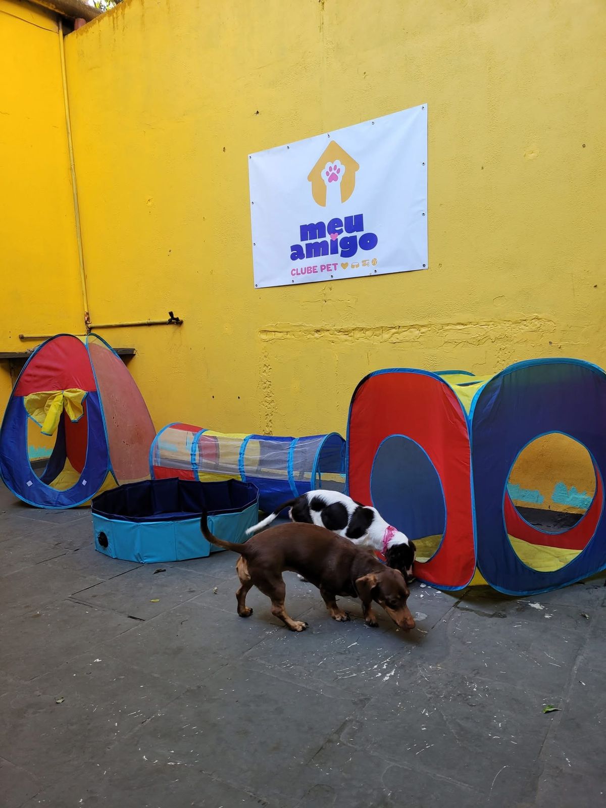 Creche  - 8 as 18hs - 5